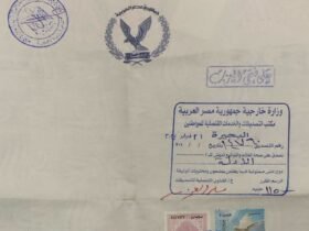 notarized Translation Services